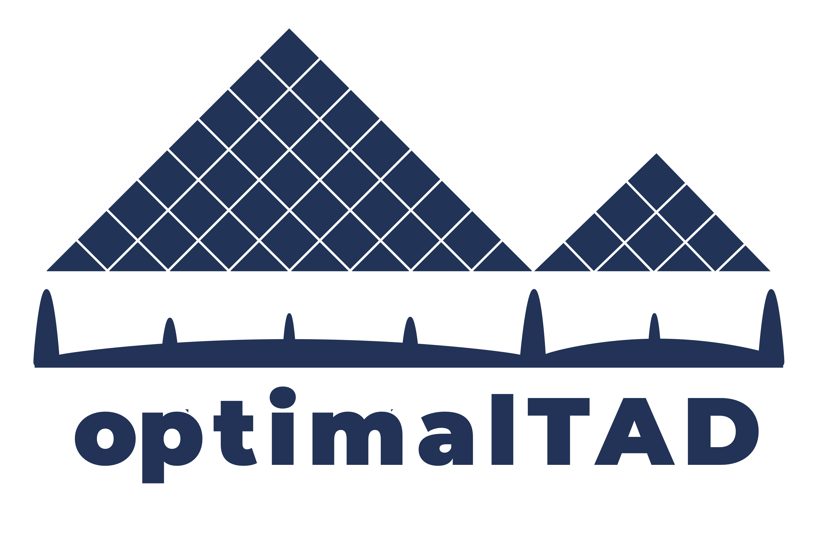 _images/optimalTAD_logo_square.png